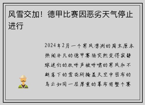 风雪交加！德甲比赛因恶劣天气停止进行