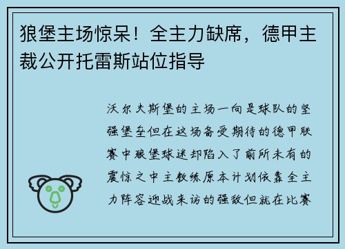 狼堡主场惊呆！全主力缺席，德甲主裁公开托雷斯站位指导